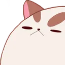 __