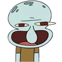 Squid
