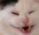 swee