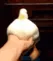 duckdance