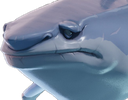 Shark_Sad Discord emoji