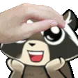 PETTHERACCOON