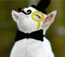 Bobthemod Discord emoji