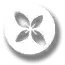 thyme