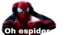 espider
