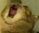 AAAAAAAAAAAAA