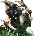 u_void