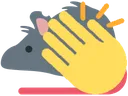 slap_rat