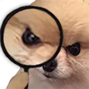 Investigatordog