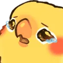 birdtears birdtears