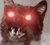 angrykitteh