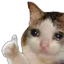 Sadcat2 sadcat2 Discord Emoji