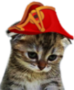 SadKitty Discord emoji