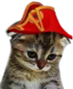 SadKitty SadKitty