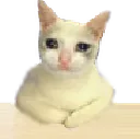 Sadstare