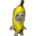 Bananacat bananacat Discord Emoji