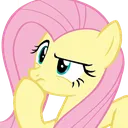flutterthink