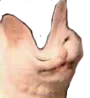 D2S_Y_EMBARASSED
