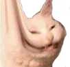 D2S_Y_MISCHIEVOUS