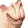 D2S_Y_HYSTERICAL