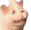 D2S_Y_SAD