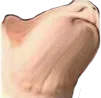 D2S_Y_CONFUSED