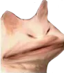 D2S_Y_ANGRY
