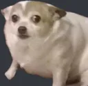 Watt