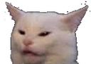 AHCatWut Discord emoji