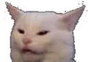 AHCatWut