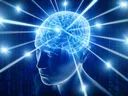 big_brain