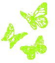 butterfly_green