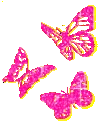 butterfly_pinknyellow