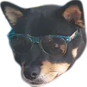 omiSunglasses