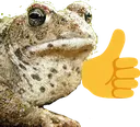 ToadOk
