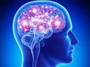 bigbrain