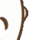 hugerp15