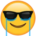cryingcoolguyemoji cryingcoolguyemoji