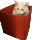 c_uglycatinabox Discord emoji