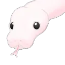 KiloAnimated