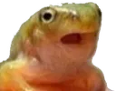 skipfrog Discord Emoji