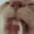 catlick2