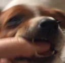 kiki kiki
