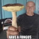 LuckyFungus