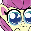 flutterwoah