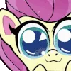 flutterwoah flutterwoah