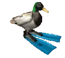 DuckoSpin