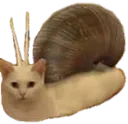 commonsnail