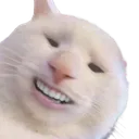 criticalcat Discord Emoji