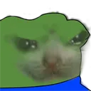 peepomadcat
